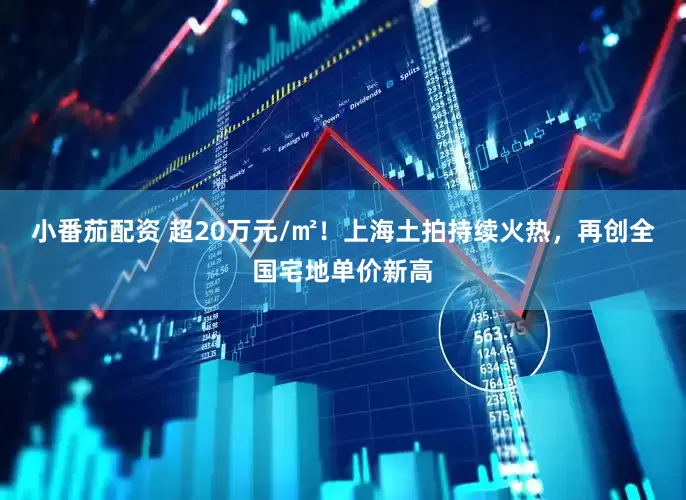 小番茄配资 超20万元/㎡！上海土拍持续火热，再创全国宅地单价新高